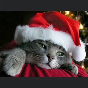 Meet your Posher, Virginia